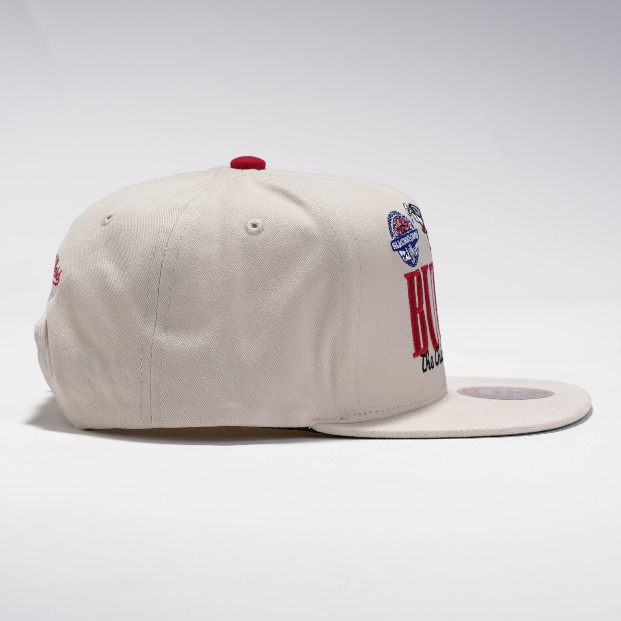 The Chicago Bulls