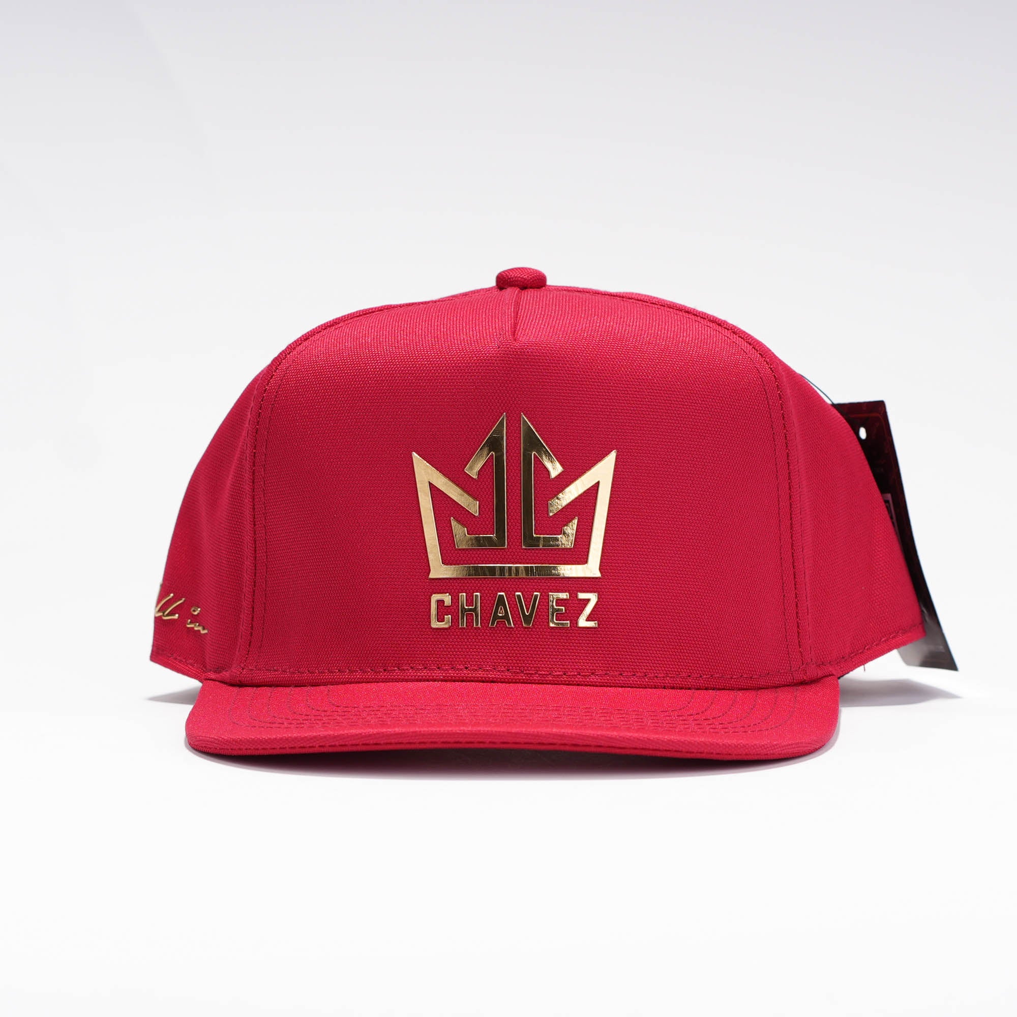 Chavez Visera Plana