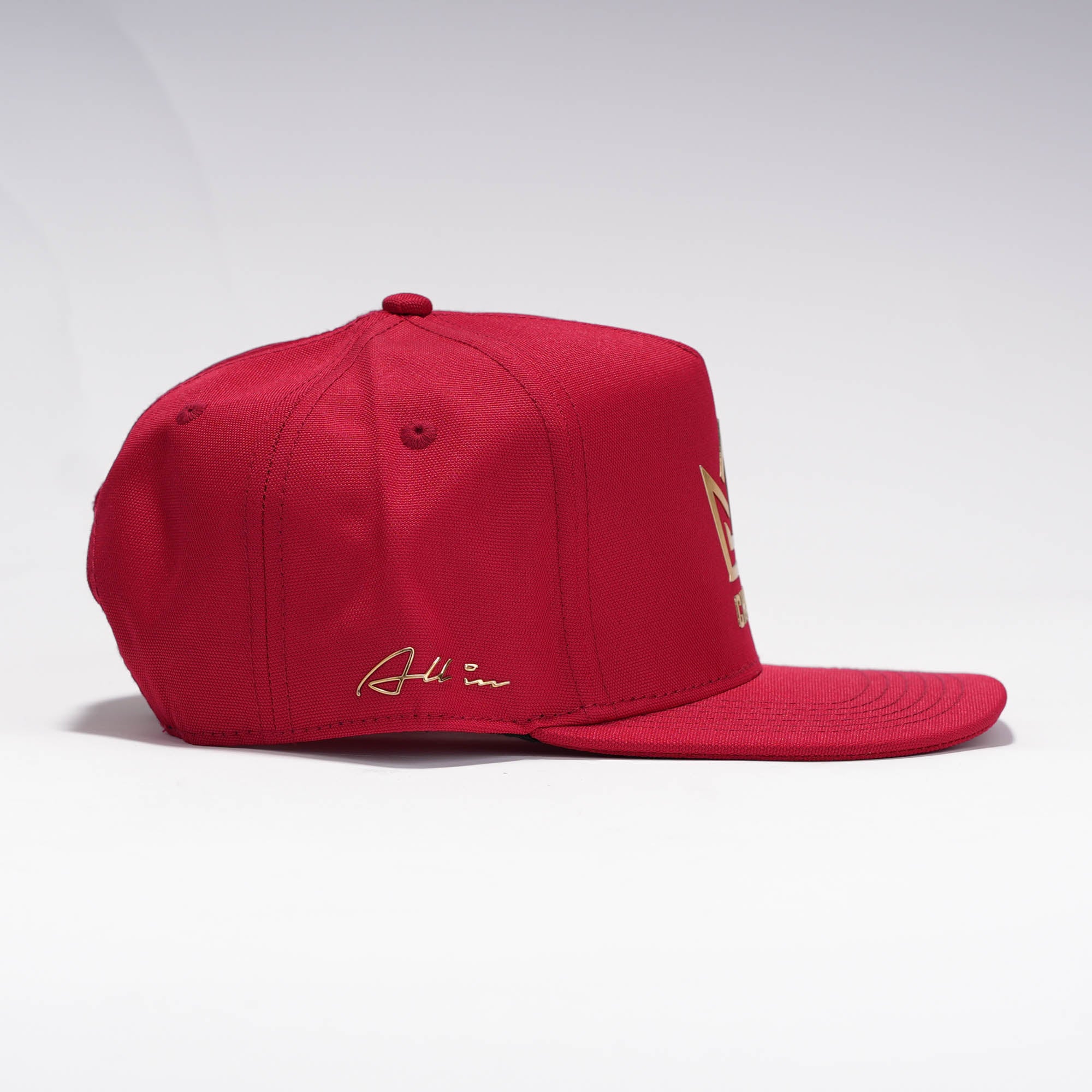 Chavez Visera Plana