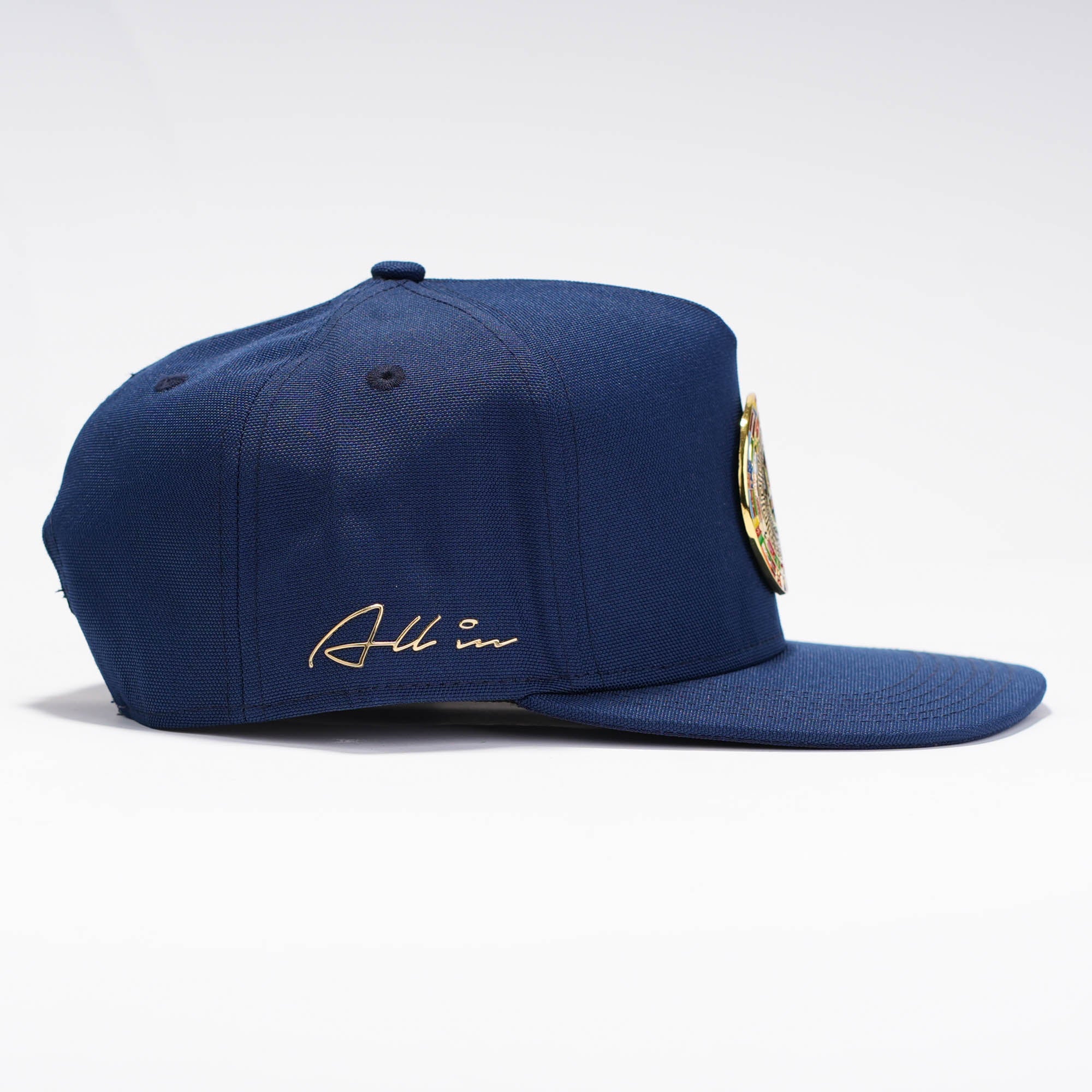 Chavez Visera Plana