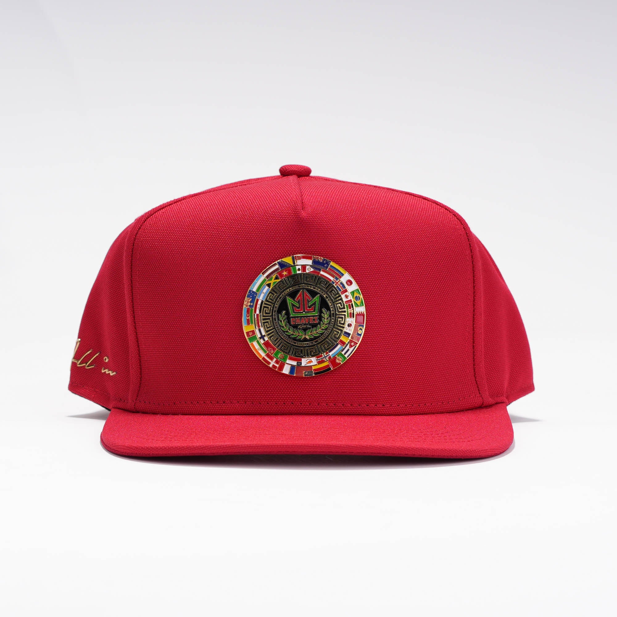 Chavez Visera Plana