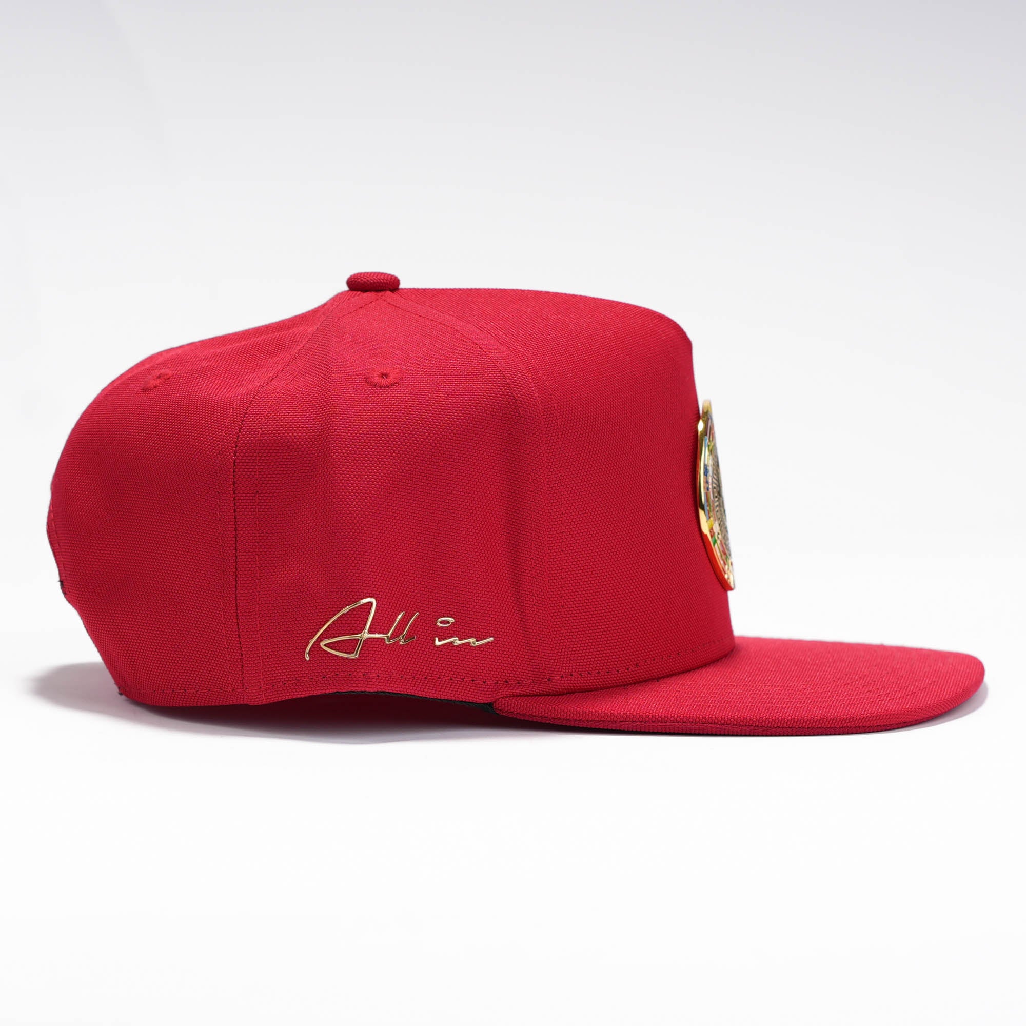 Chavez Visera Plana