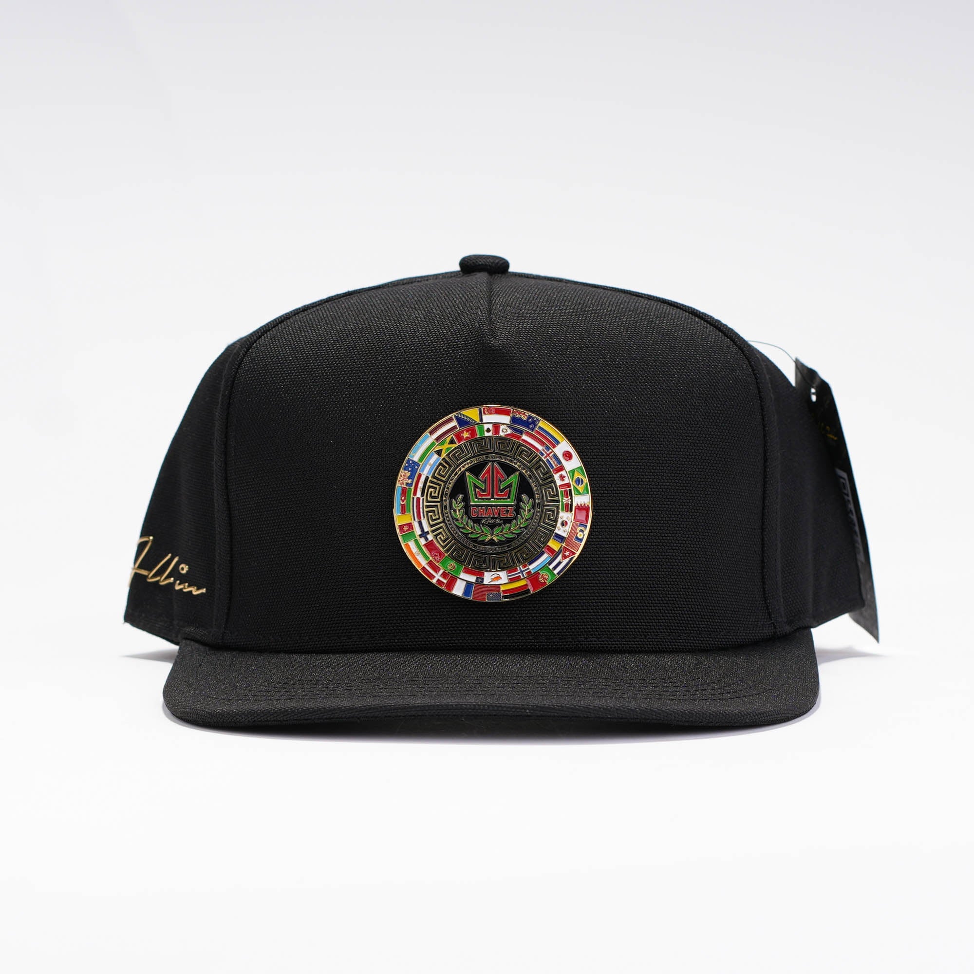 Chavez Visera Plana