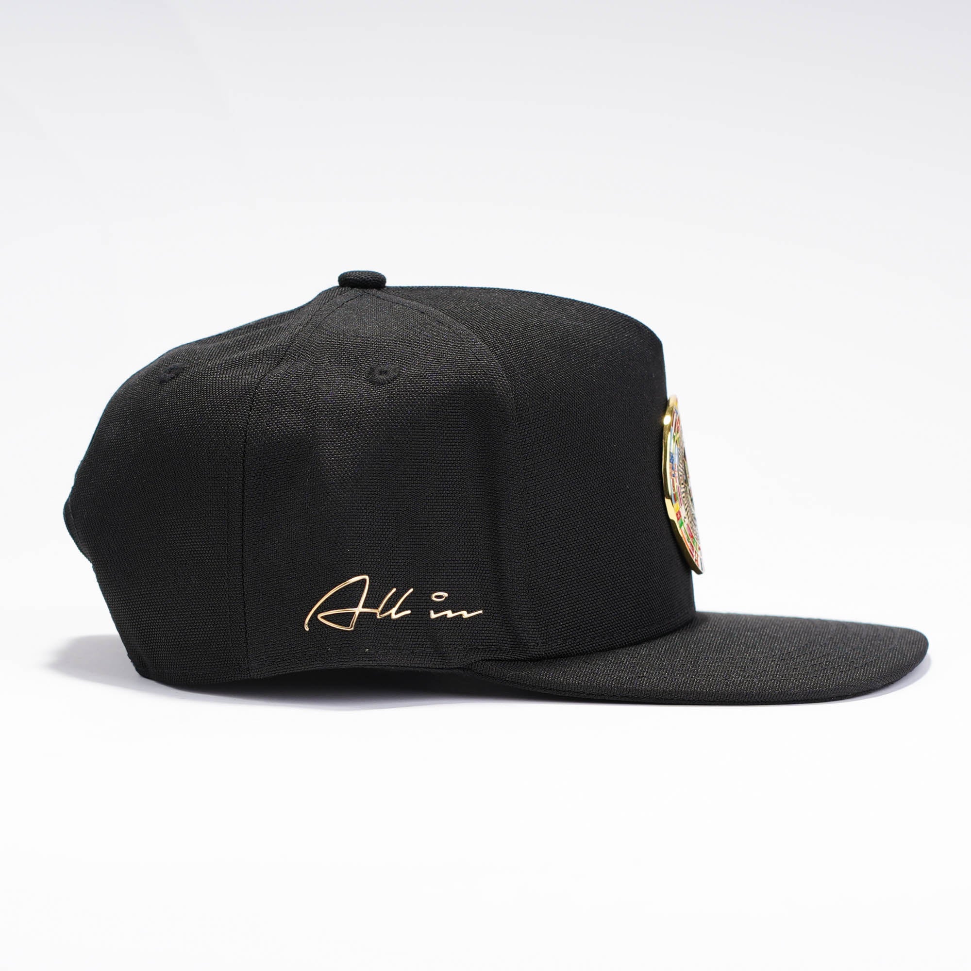 Chavez Visera Plana
