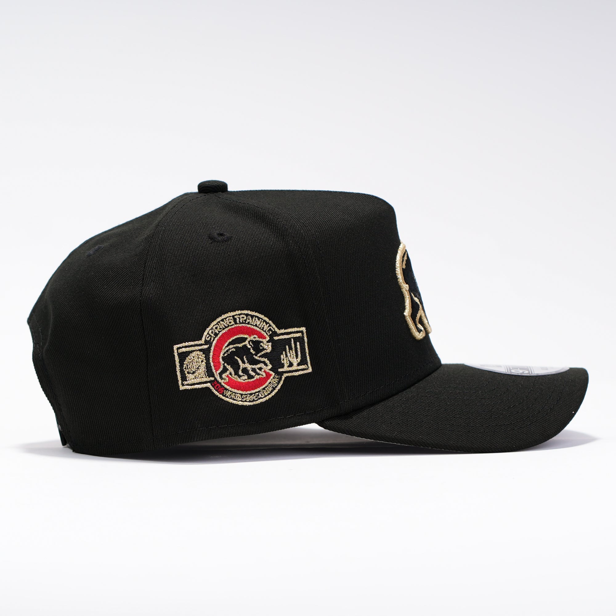 Chicago Cubs Oso Gold Negro