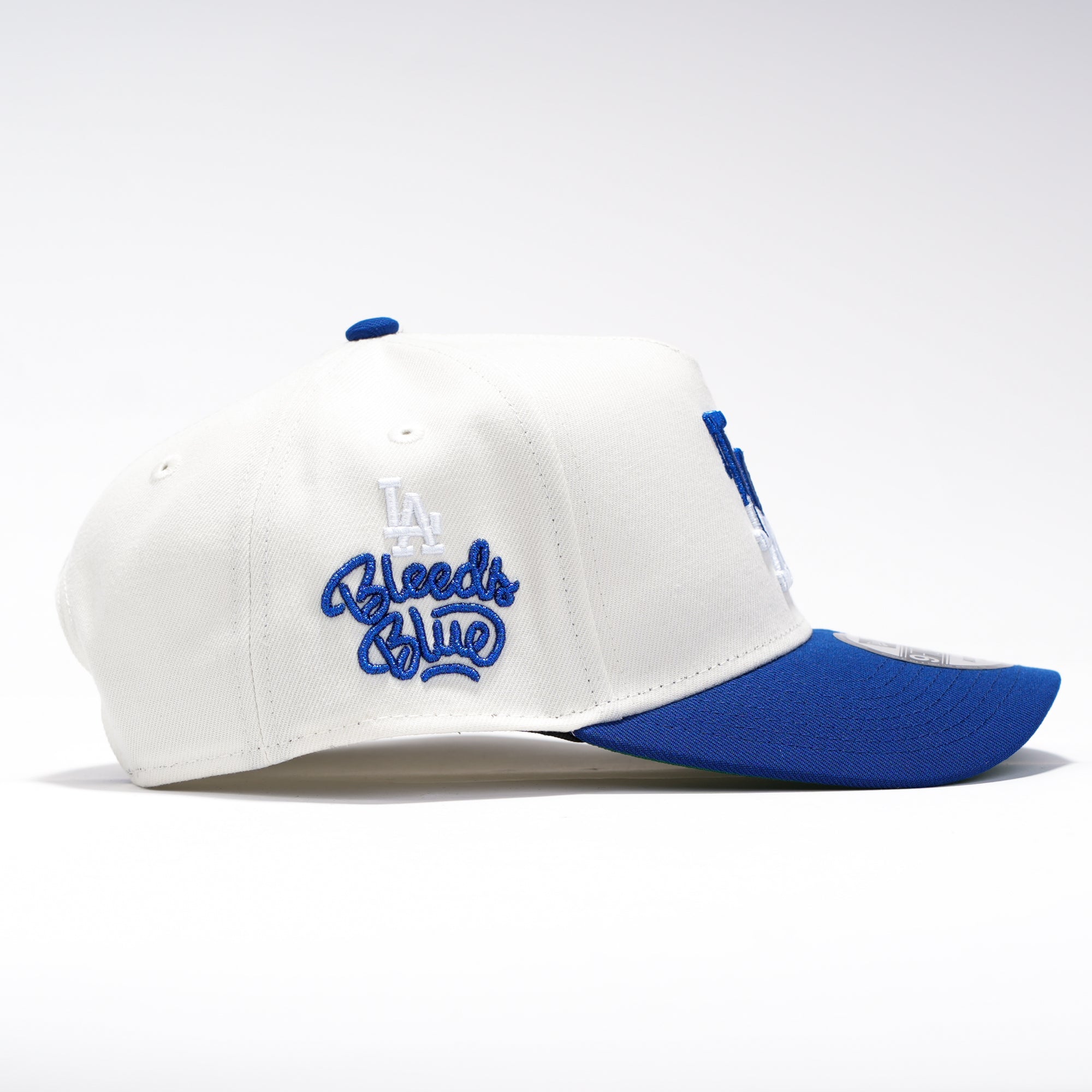 LA Dodgers Bleeds Blue