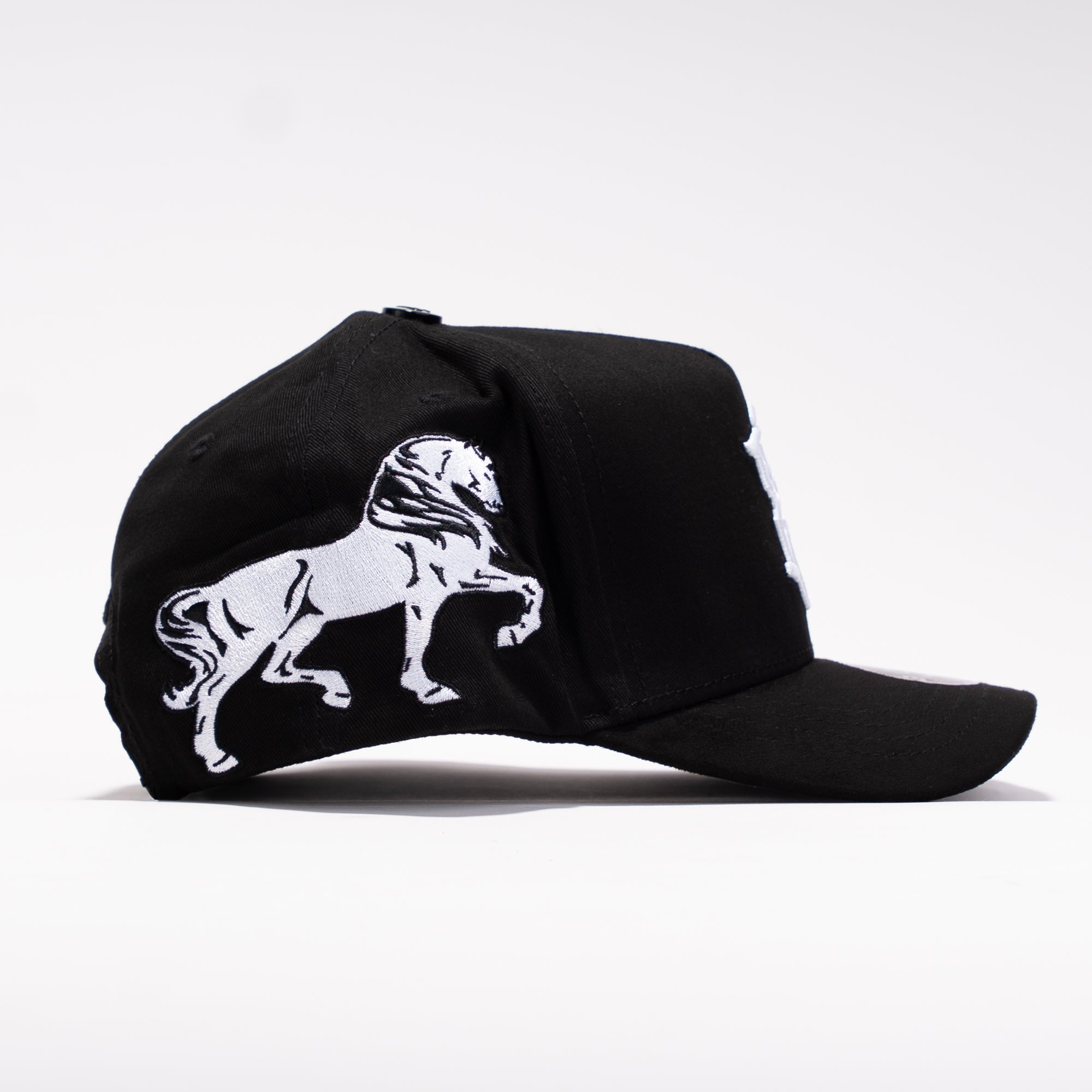 Caballo Blanco