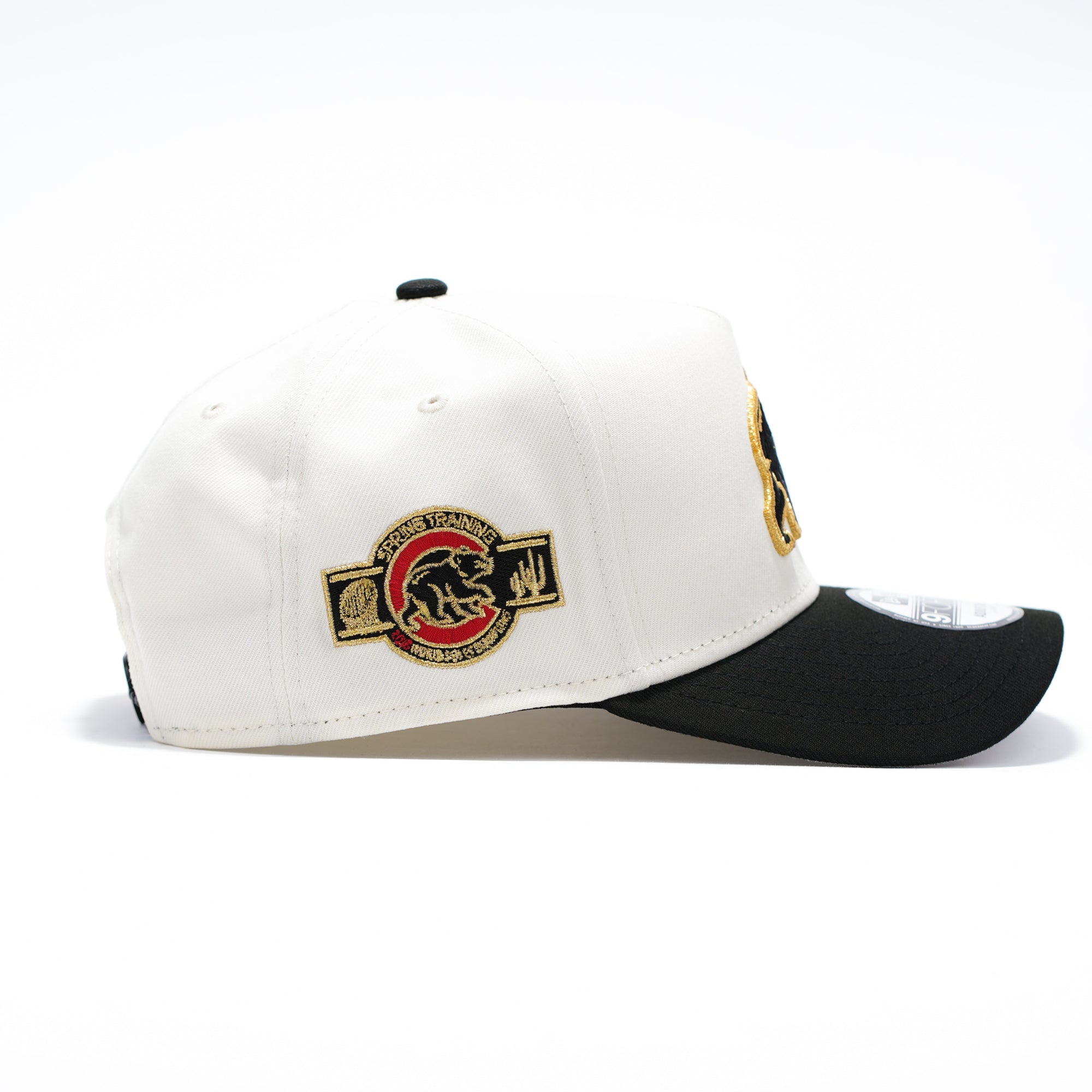 Chicago Cubs Oso Gold Blanco y Negro Spring training