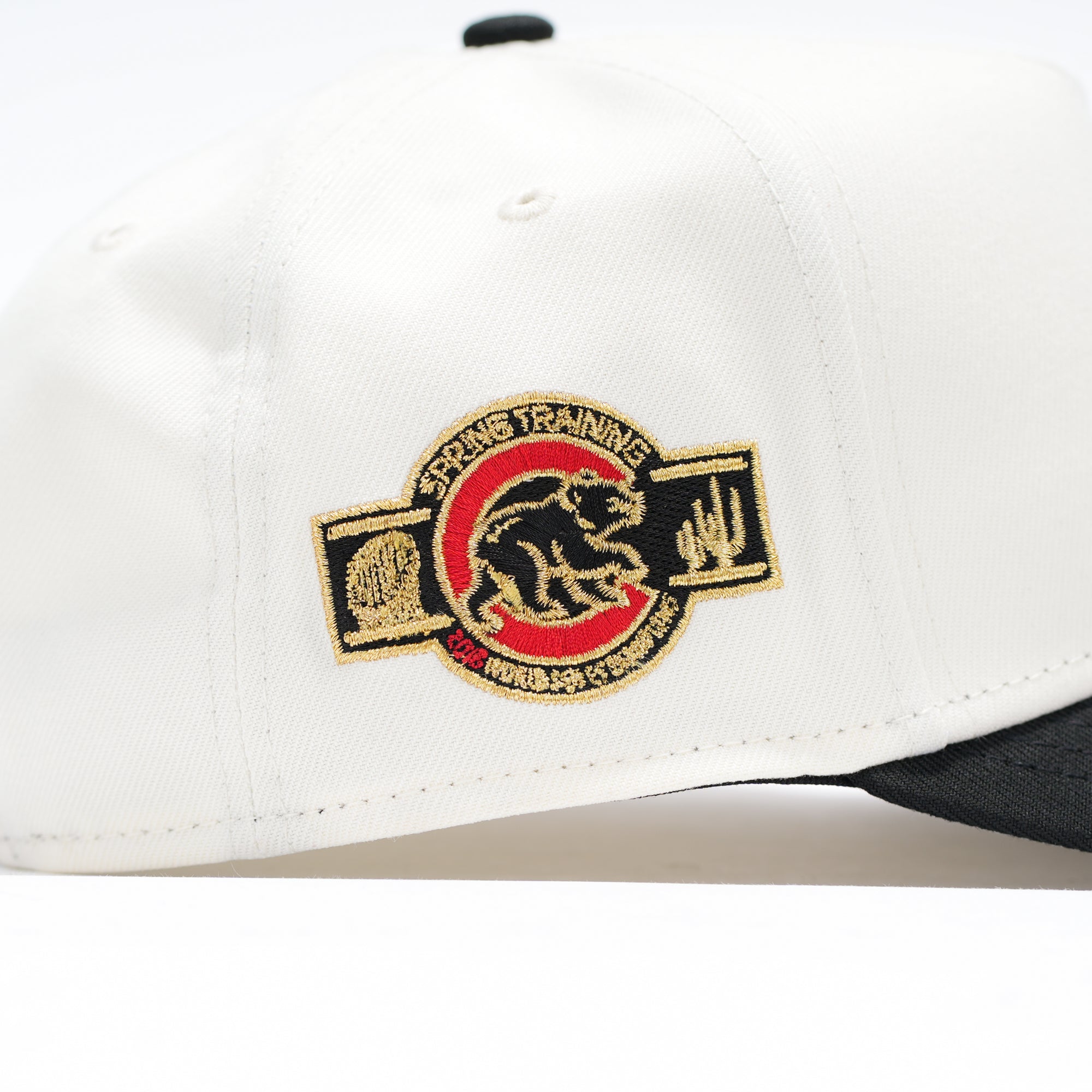 Chicago Cubs Oso Gold Blanco y Negro Spring training