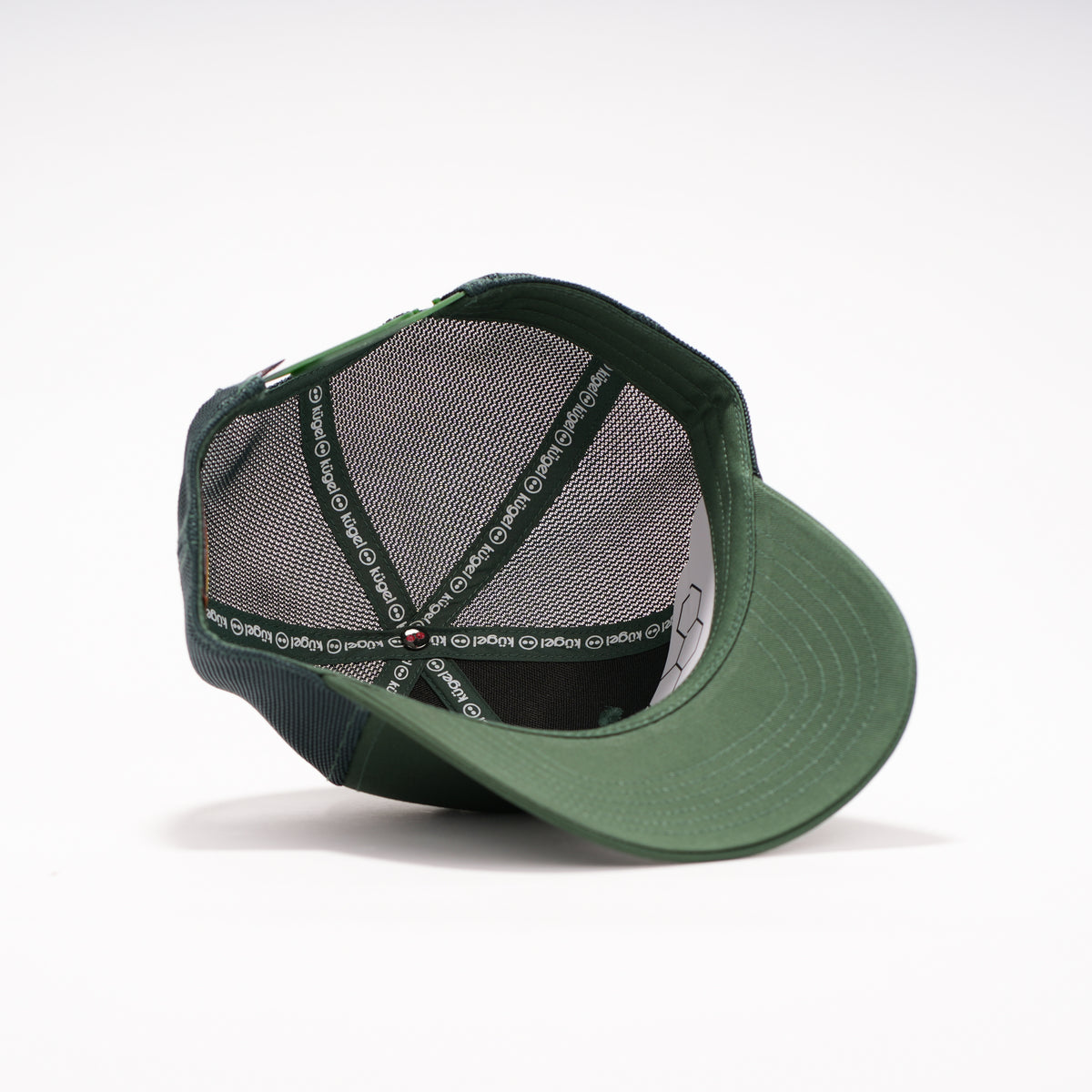 6 PANELES CURVA MALLA VERDE
